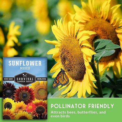 Mixed Sunflower Seeds for Planting | Colorful Blend of Heirloom Varieties for Cut Flowers & Pollinators – Heirloom Non-GMO – Survival Garden Seeds (2 Packs)