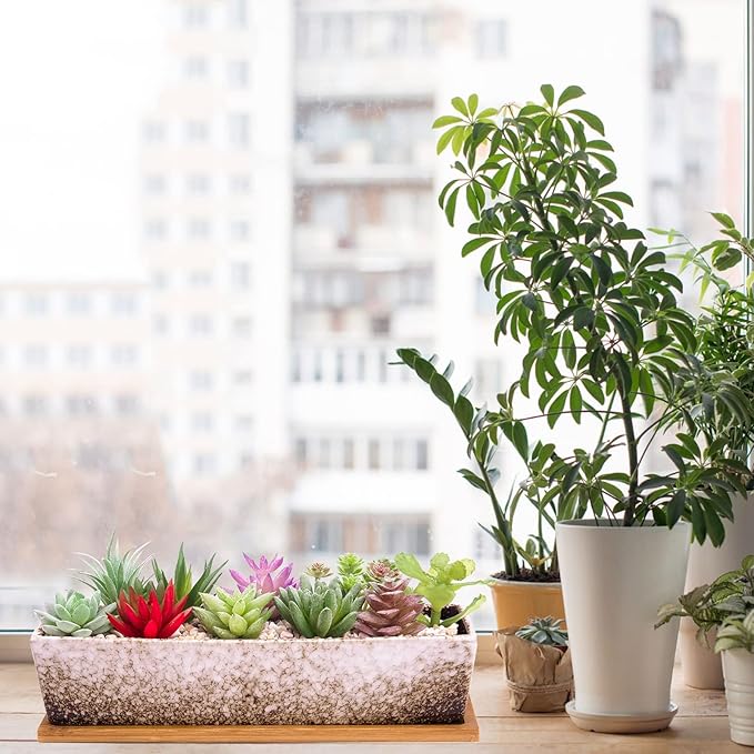 ARTKETTY Succulent Pots - 12.1 Inch Large Succulent Planters with Drainage Tray, Long Rectangle Ceramic Pot for Indoor Cactus/Succulent Plants Shallow Bonsai Window Box for Home Garden Decor (White)