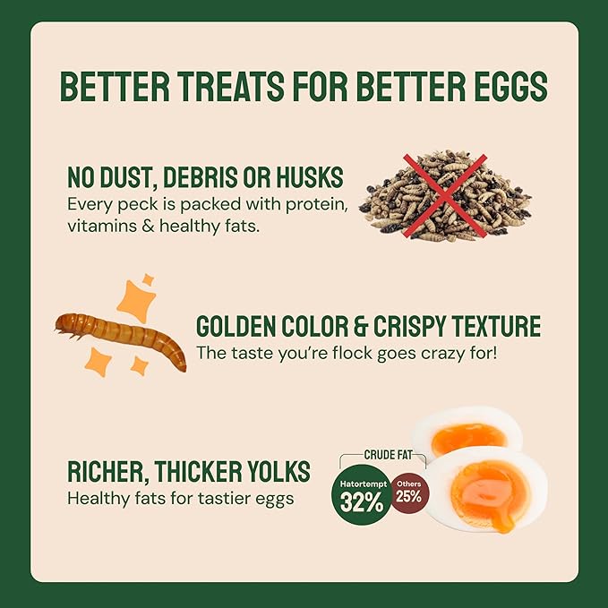 Hatortempt Bulk Dried Mealworms - 10 Lb Bag - Non-GMO Dried Mealworms for Chickens, Ducks & Wild Birds - High-Protein Chicken Feed & Bird Food