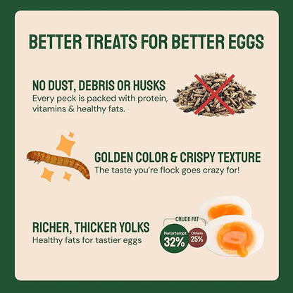Hatortempt Dried Mealworms - Non-GMO & Organic - High-Protein Mealworms for Wild Bird Food, Ducks & Chickens (5lb)
