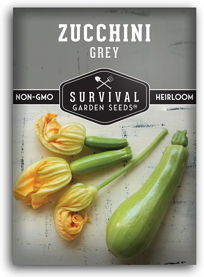 Survival Garden Seeds - Grey Zucchini Seed for Planting - Packet with Instructions to Plant and Grow Mexican Summer Squash in Your Home Vegetable Garden - Non-GMO Heirloom Variety