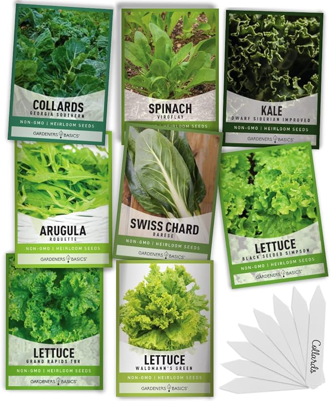 Gardeners Basics, 8 Leafy Garden Greens Seeds for Planting Individual Packets - Arugula, Collards, Spinach, Swiss Chard, Kale, Lettuce, Leafy and Butter Lettuce Seeds for Your Heirloom Salad Garden