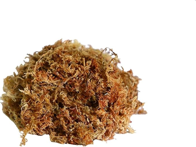 ™Peruvian Sphagnum Moss by Orchid Nerd ® (Peruvian Sphagnum Mos, 150 Grams)