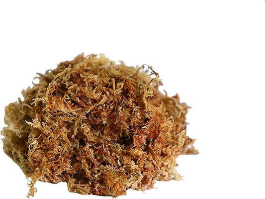 ™Peruvian Sphagnum Moss by Orchid Nerd ® (Peruvian Sphagnum Mos, 150 Grams)