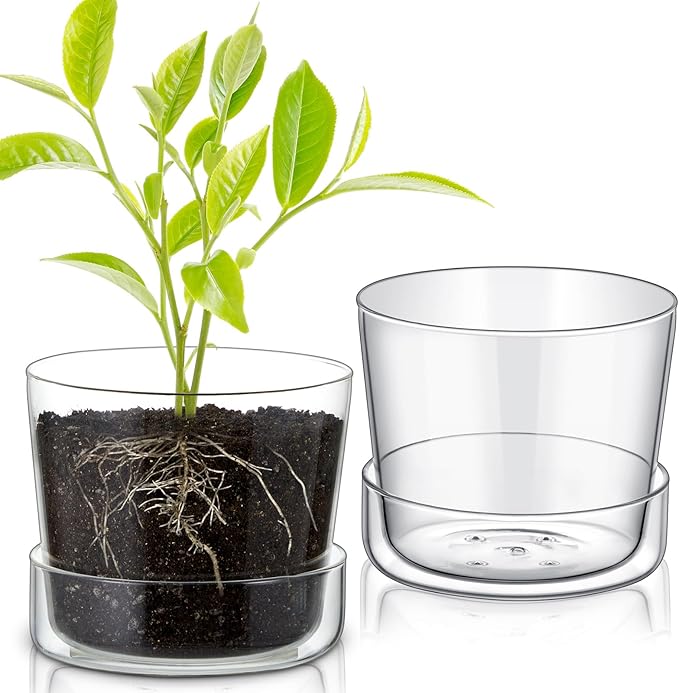 2 Sets 6 Inch Glass Planter with Drainage Hole and Tray Indoor Clear Plant Pots with Saucer Modern Decorative Orchid Glass Pot for Outdoor Flower Plants