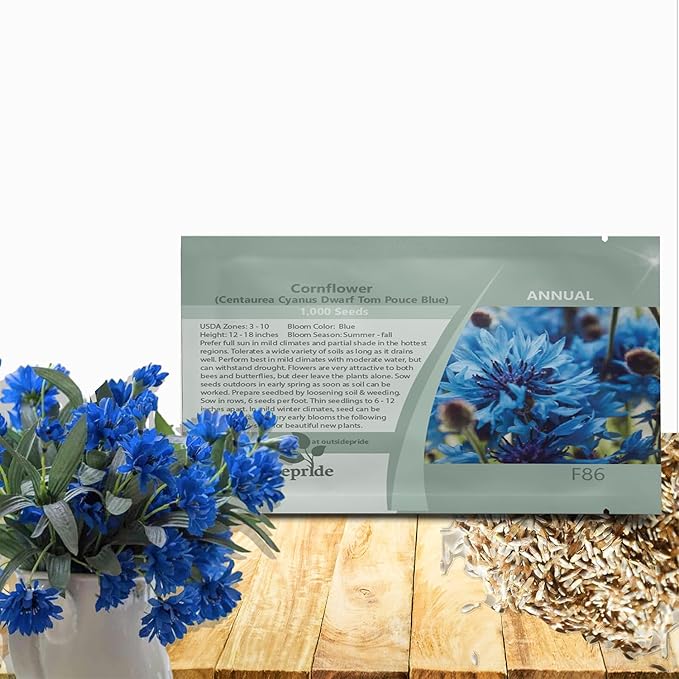 Outsidepride Dwarf Blue Cornflower Seeds for Planting - 1000 Pcs. Annual Bachelor's Button Flower Seeds for Cut Flower Gardens, Drought-Tolerant, Attracts Pollinators, Ideal for Borders & Bouquets