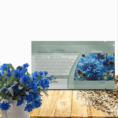 Outsidepride Dwarf Blue Cornflower Seeds for Planting - 1000 Pcs. Annual Bachelor's Button Flower Seeds for Cut Flower Gardens, Drought-Tolerant, Attracts Pollinators, Ideal for Borders & Bouquets