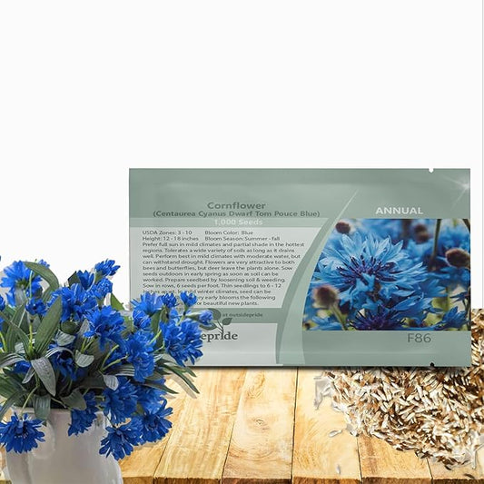 Outsidepride Dwarf Blue Cornflower Seeds for Planting - 1000 Pcs. Annual Bachelor's Button Flower Seeds for Cut Flower Gardens, Drought-Tolerant, Attracts Pollinators, Ideal for Borders & Bouquets