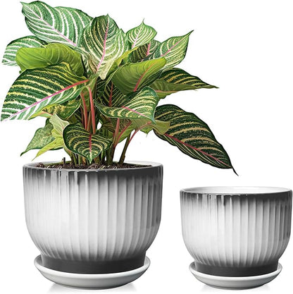 6.7 + 5.5 Inch Ceramic Plant Pots,Set of 2,Planters with Drainage and Saucer,Indoor Pots for Plants,Modern Flower Pots for Home and Office（Black + White）