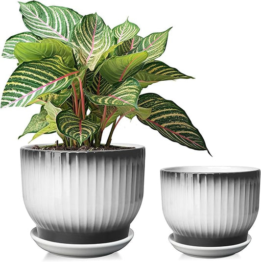 6.7 + 5.5 Inch Ceramic Plant Pots,Set of 2,Planters with Drainage and Saucer,Indoor Pots for Plants,Modern Flower Pots for Home and Office（Black + White）
