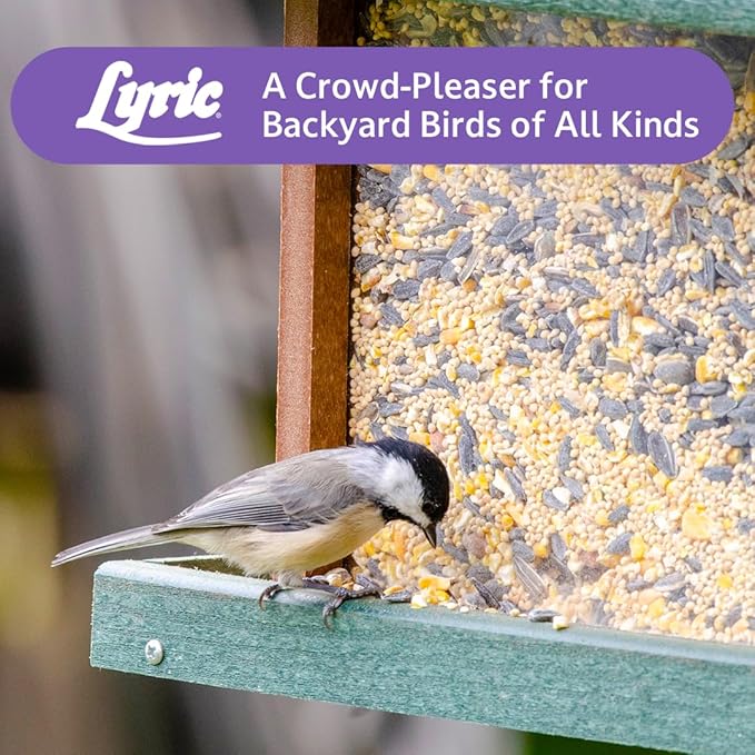 Lyric Wild Bird Mix - Includes Corn, Nuts, and Wild Bird Seed for Outside Feeders, Attracts Doves, Jays and Many More, 40 lb Bag