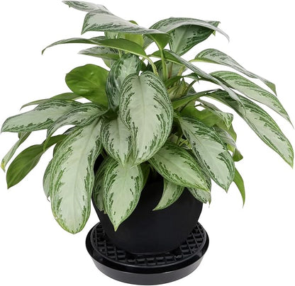 Gro Pro NX Level Pot Elevator - 13 in (50/Cs) (725675)