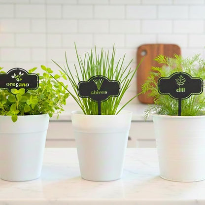 6 Piece Culinary Herbs Set Laser Cut Metal Garden Markers - Reusable Herb Sign, Sturdy and Weatherproof Steel Tags for Potted Plant, Garden and Greenhouse. Durable Label for Herbs & Spices