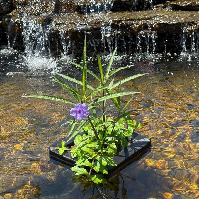 Chalily Aquatic Planting Bundle for Lily Likes, Bog Plants, Shallow Water Plant Kit Floating Island Kit Pond Water Garden Aquatic Soil Pond Plants (4qt Soil, Floating Island)