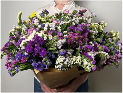 Wavyleaf Sea Lavender (Limonium, Statica) Mix Seeds Annual Flowers Herbs for Planting Non GMO 80 Seeds