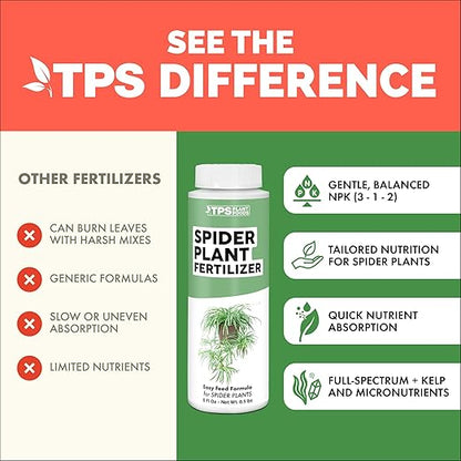 Spider Plant Fertilizer for Spider Plants, Great for Curly, Striped, and Solid Green Varieties, Liquid Fertilizer by TPS Plant Foods, 8oz (250ml)