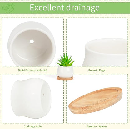 Succulent Pots, White Mini 2.5 inch Ceramic Flower Planter Pot with Bamboo Tray, Pack of 12 - Plants Not Included