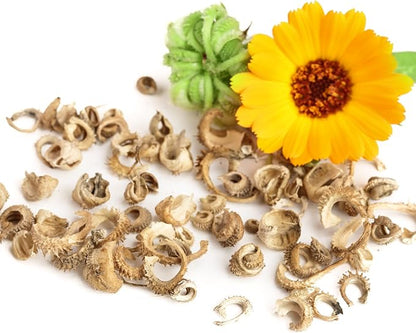 Seed Needs Calendula Seeds Pacific Beauty Mix | 5,000+ Seeds Calendula Officinalis Non-GMO Annual | Large Orange Yellow Blooms Garden Variety Favorite | Bulk Wildflower Seed