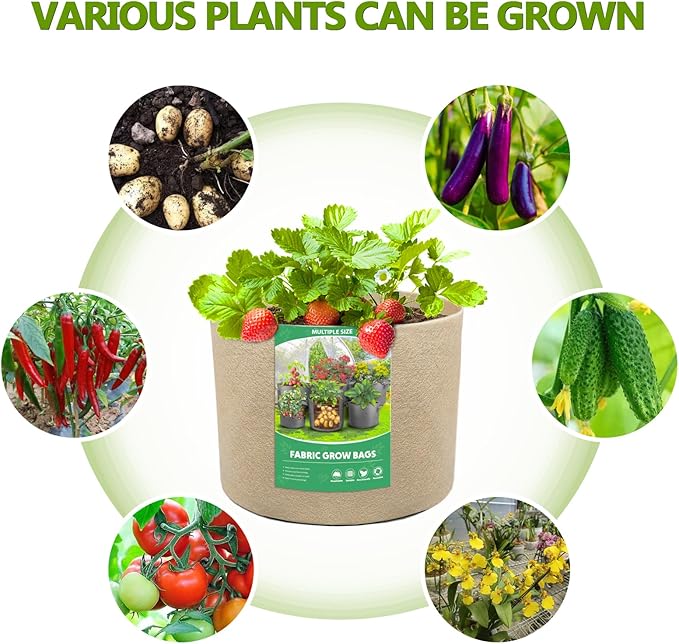 Bestio Plant Grow Bags,1 Gallon 8 Packs Grow Bags,300G Non-Woven Fabric for Vegetables Fruits Flowers Backyard Outdoor Uses