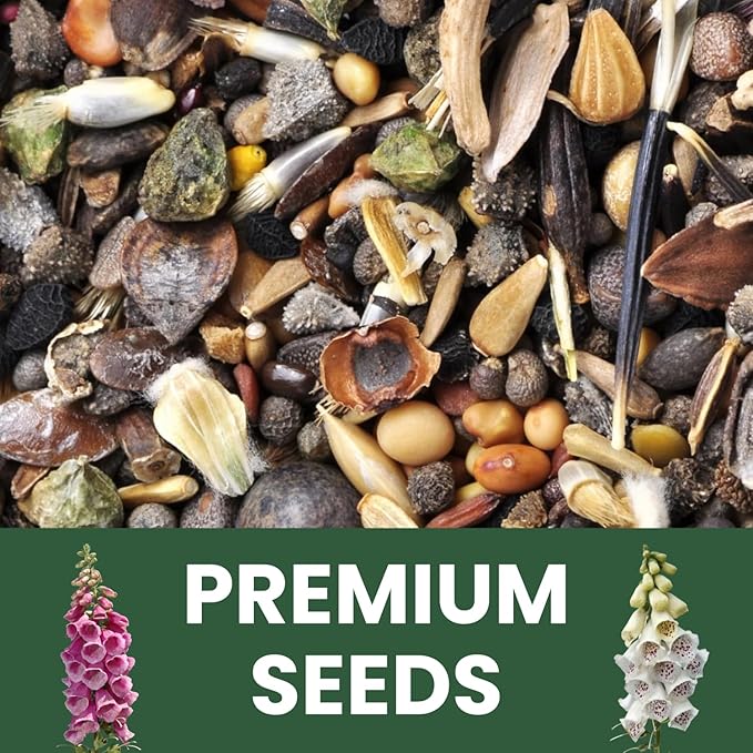 Foxglove Mixed Colors – 2,000 Seeds for Planting – 2026 Season – 1/2 Ounce Pouch