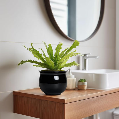 Ceramic African Violet Self Watering Pots, 6 Inch Self Watering Plant Pot with Absorbent Inner Pot, Flower Pots for Indoor Plants, Round Ceramic Planter, Home Decor, Plant Lover Gifts, Black