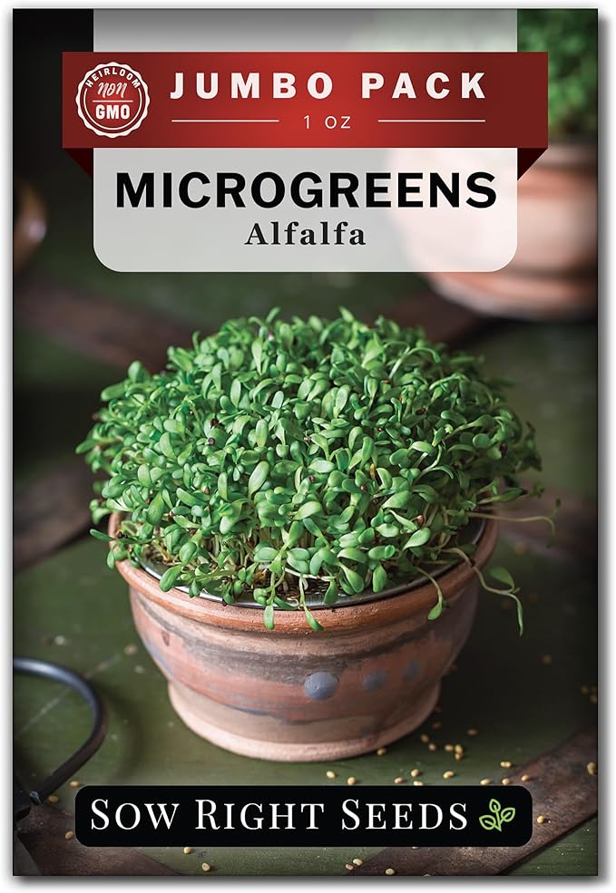 Sow Right Seeds - Bulk Alfalfa Seeds for Planting - 1 Ounce, 11000 Seeds - Non-GMO Heirloom Jumbo Pack with Instructions to Plant a Home Herb Garden - Grow Loads of Alfalfa Microgreens