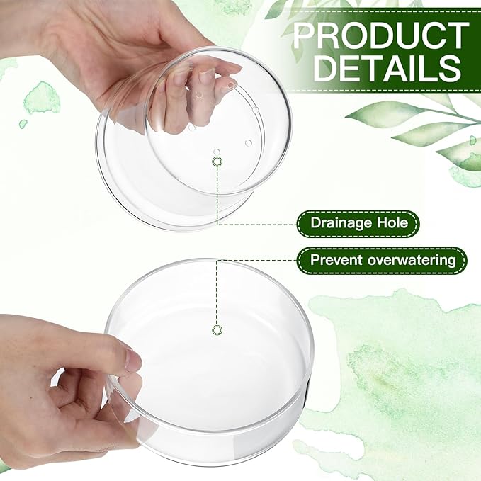 Baderke 4 Inch Glass Plant Pots with Saucer, Flower Nursery Plant Pots with Drainage for Flower Seed Starter Transparent Seedling (1 Set)