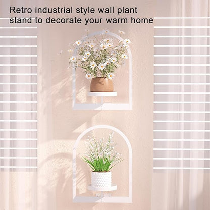 Wall Plant Holder, Wall Planter for Indoor Plants, Window Plant shelves for Multiple Plants Indoor Outdoor, Framed Plant Holder for Home Decor (3 Pack)