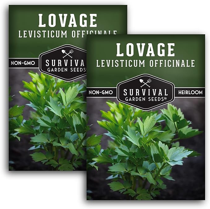 Survival Garden Seeds - Lovage Seed for Planting - 2 Packs with Instructions to Plant and Grow Perennial Levisticum Officinale Culinary Herb in Your Home Vegetable Garden - Non-GMO Heirloom Variety