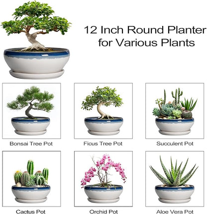 SQOWL Bonsai Tree Pots - 12 Inch Ceramic Succulent Planters, Large Bonsai Pot with Drainage Hole and Tray, Shallow Planter Indoor Outdoor, Bowl Round Planter, Home Decor, Plant Lover Gift, Blue-Beige