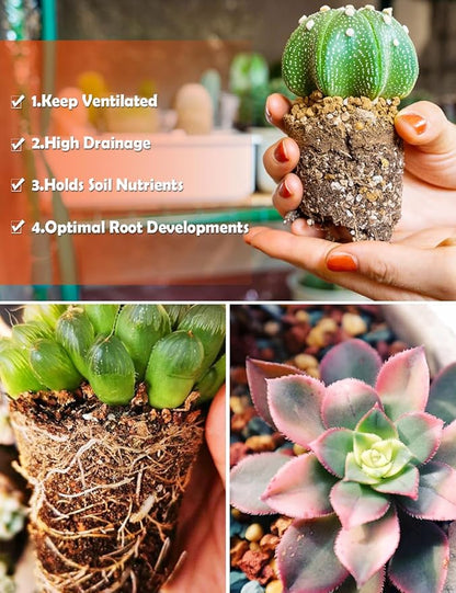 TOYPOPOR Succulent Soil, Cactus Potting Mix 3.75 Pounds/3QTS, High Drainage, Pre-Mixed Ready to Use for All Succulent Varieties, Indoor Plants, Bonsai, Terrarium, Houseplant, 30% Particles 70% Soil