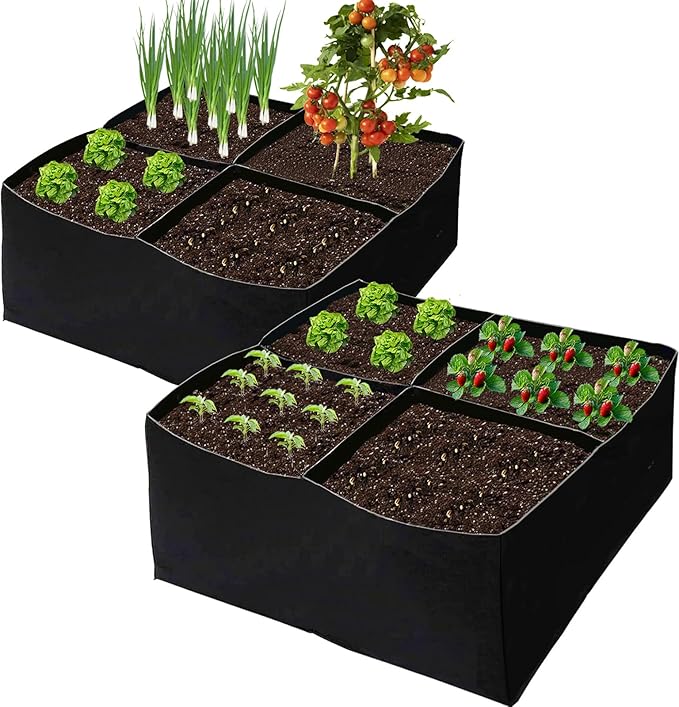 2 Pack Fabric Grow Bags, Raised Garden Bed for Vegetable Herbs Flowers, Fabric Plant Pots Indoor Outdoor, 2x2x1ft