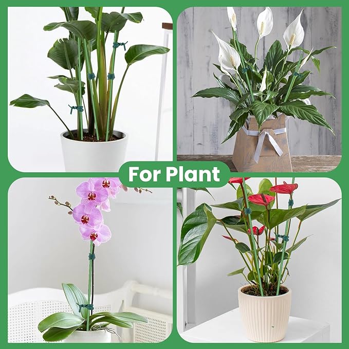 60 Pcs Plant Stakes, 16 Inch Bendable Plant Support Stakes with 60 Pcs Plant Clips, Metal Plant Sticks for Outdoor Indoor Plants Support, Potted Plants, Flowers, Orchid