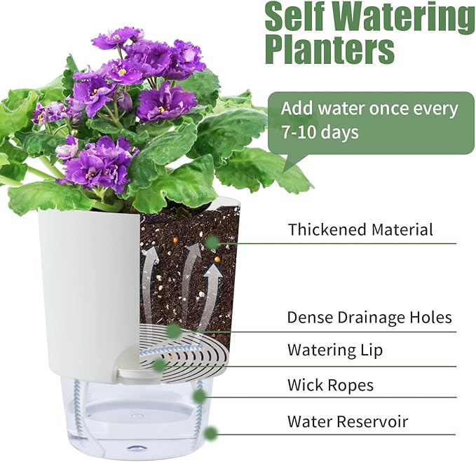 6 Inch Self Watering Planter Pots for Indoor Plants, 3 Packs African Violet Pots with Wick Rope and Visible Reservoir Self Watering Planter for Herb, Houseplants