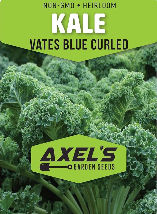 Kale Seeds for Planting - Plant & Grow Heirloom Kale Varieties Home Outdoor Garden – Easy Grow Planting Packet Instructions Included, Great Gardening Gift – 3 Packets of Each Variety