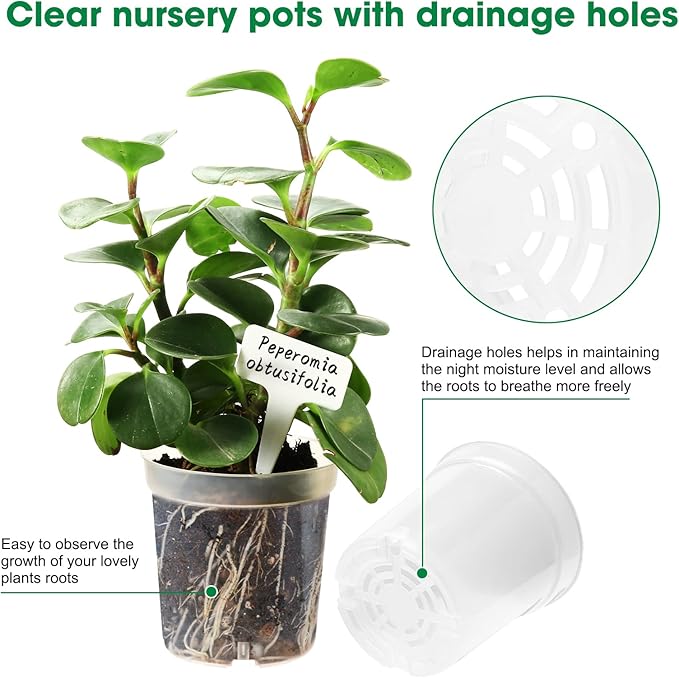3.5 Inch Clear Nursery Pots, Transparent Plastic Plant Pots with Drain Holes, Seed Germination Starting Planter Container with 20 Plant Labels for Flowers Vegetable Seedlings 60 Pcs