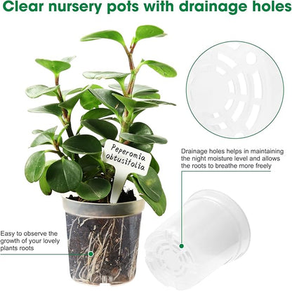 3.5 Inch Clear Nursery Pots, Transparent Plastic Plant Pots with Drain Holes, Seed Germination Starting Planter Container with 20 Plant Labels for Flowers Vegetable Seedlings 60 Pcs