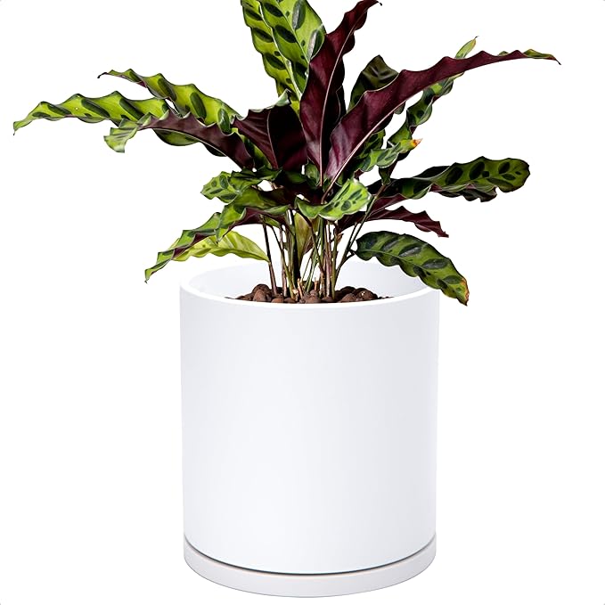 D'vine Dev Double-Layer Planter Set – Rotating Plastic Cachepot with Clear Inner Liner for Root Health, Perfect for Indoor Plants, 6.5", White, 73-U-A-2