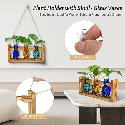 Skull Plant Propagation Station with LED Lights - Halloween Decor Skull Planter, Hydroponics Pot for Office, Unique Gifts for Women & Plant Lovers(3*Mixed Color)