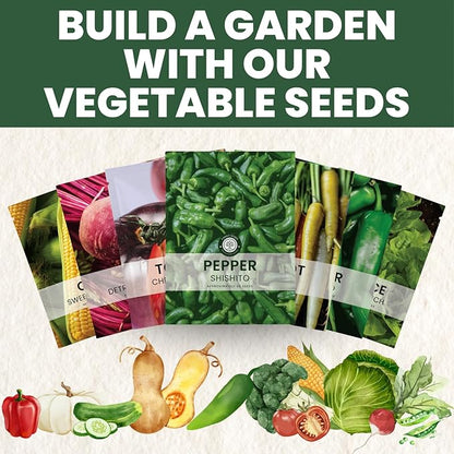 Shishito Pepper – 60 Premium Seeds for Planting – Sweet, Savory, High-Yielding Specialty Pepper for The 2026 Season – 500 Milligram Pouch