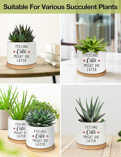 Feeling Cute Might Die Later Pot- Ceramic Engraved Succulent Aloe Cactus Planter Pot, Funny Indoor Plant Pots with Bamboo Tray for Mom Grandma Teacher Gifts(Plant Not Included)