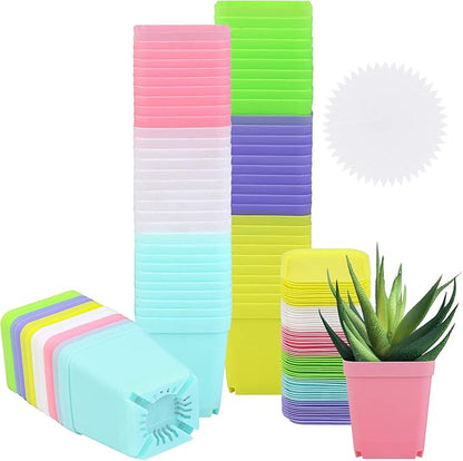 Elcoho 60 Pack 2.7 Inch Square Plants Nursery Pot Multicolor Plastic Plant Seedling Pots Flower Pots Nursery Transplanting Planter Container with Saucer for Your Room,Garden Office and Balcony Decor