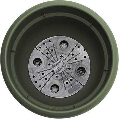 Bloem Ariana Pot Planter: 12" - Living Green - Durable Resin Pot, For Indoor and Outdoor Use, Gardening, Self Watering Disk Included, 3 Gallon Capacity