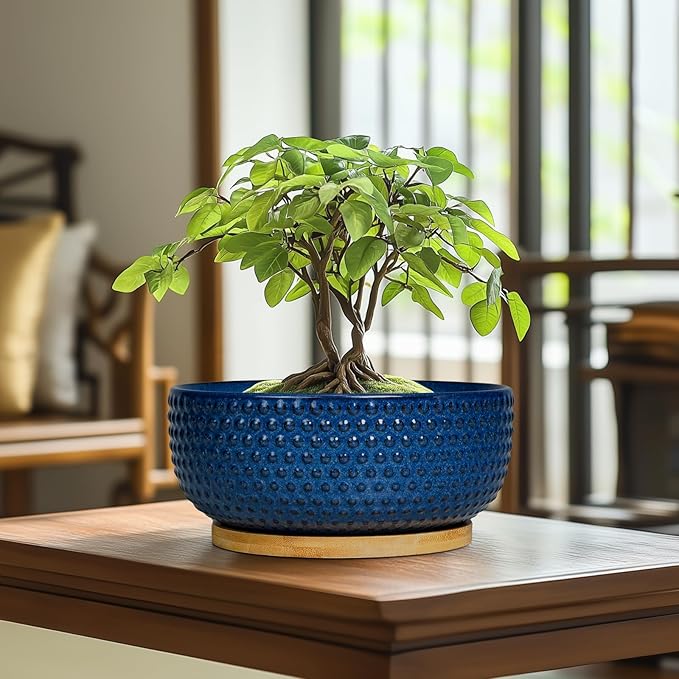 Bonsai Pots - 8 Inch Ceramic Pots for Succulent Plants & Bonsai Tree, Planter with Drainage Hole and Saucer, Modern Round Decorative Flower Planters, House Decor, Gifts for Women Man, Blue