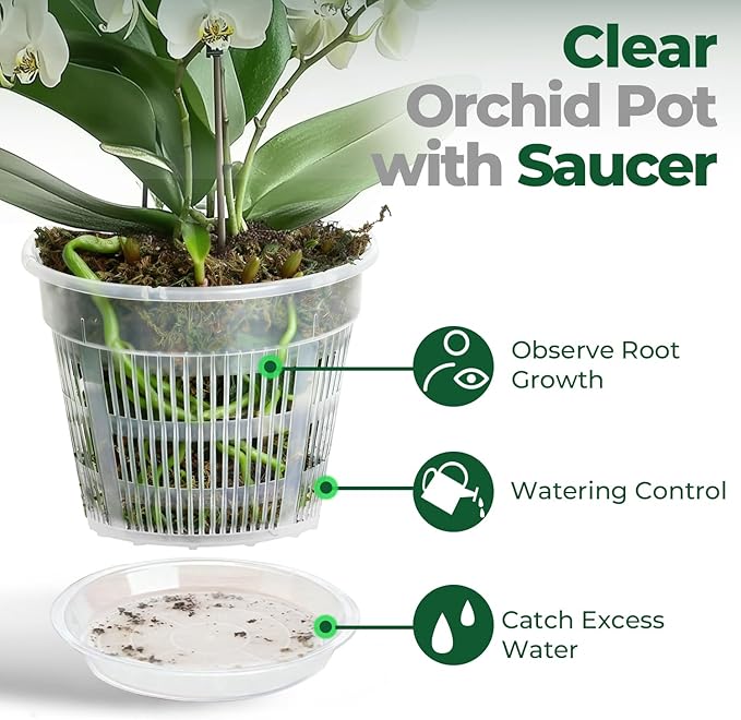 T4U Orchid Pot, 6 Pack 7.5 Inch Orchid Pots with Holes and Saucers, Clear Orchid Pots for Repotting, Plastic Flower Plant Pot for Indoor Outdoor Plants, Large Orchids Planter for Root Health