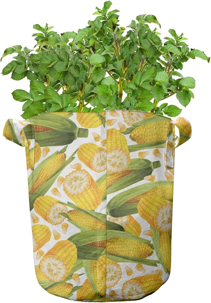 Ambesonne Corn Grow Bags 5-Pack, Vegetable Stalks Illustration, Heavyduty Fabric Pots with Handles for Plants, Yellow Green White