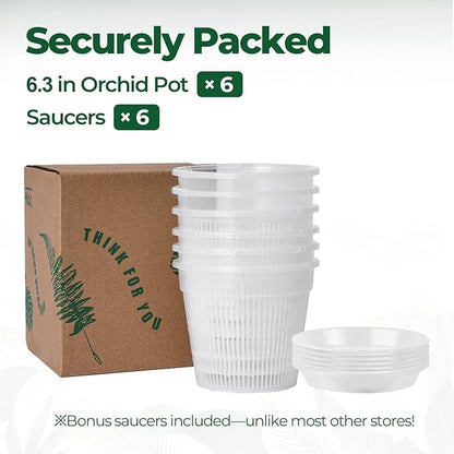 T4U Orchid Pot, 6 Pack 6.3 Inch Orchid Pots with Holes and Saucers, Clear Orchid Pots for Repotting, Plastic Flower Plant Pot for Indoor Outdoor Plants, Slotted Orchids Planter for Root Health