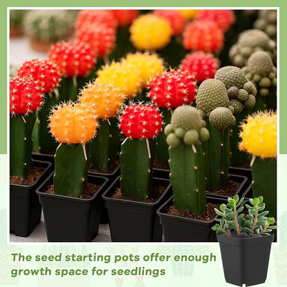 Yaomiao 200 Pack 3 Inch Black Nursery Pot Square Flower Pots Plastic Plant Succulent Planter Seed Starting Pots with Drainage Holes for Garden Office Balcony Decor Indoor Outdoor Plant Seedling