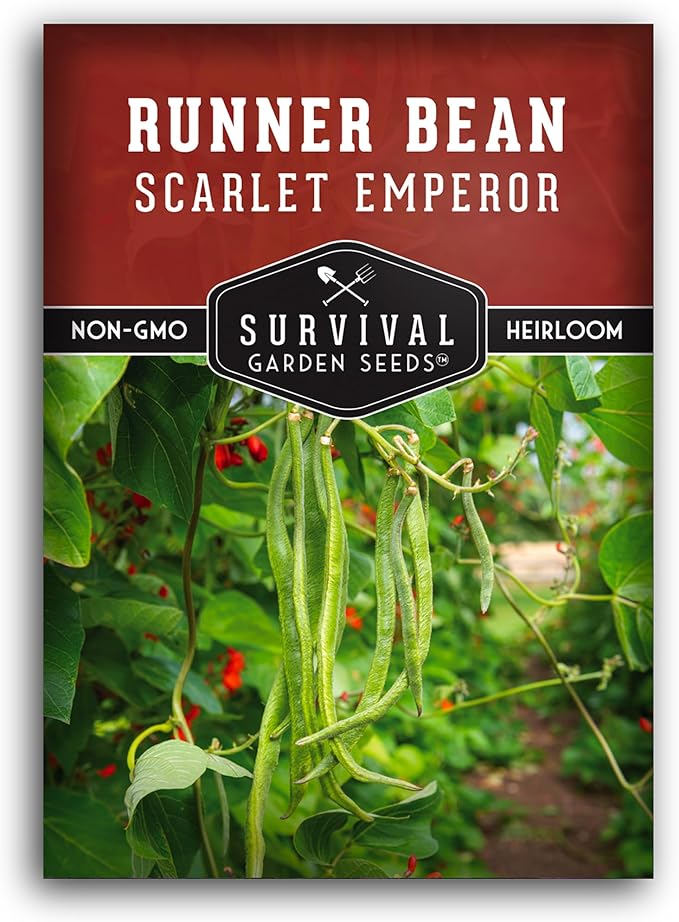 Scarlet Emperor Runner Bean Seeds for Planting - 1 Packet with Instructions to Plant & Grow Red Multiflora Beans in Your Home Vegetable Garden - Non-GMO Heirloom Variety - Survival Garden Seeds
