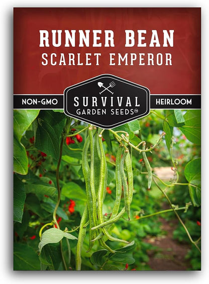 Scarlet Emperor Runner Bean Seeds for Planting - 1 Packet with Instructions to Plant & Grow Red Multiflora Beans in Your Home Vegetable Garden - Non-GMO Heirloom Variety - Survival Garden Seeds
